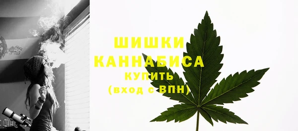 гидропоника Болотное