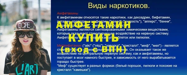 прущие грибы Надым