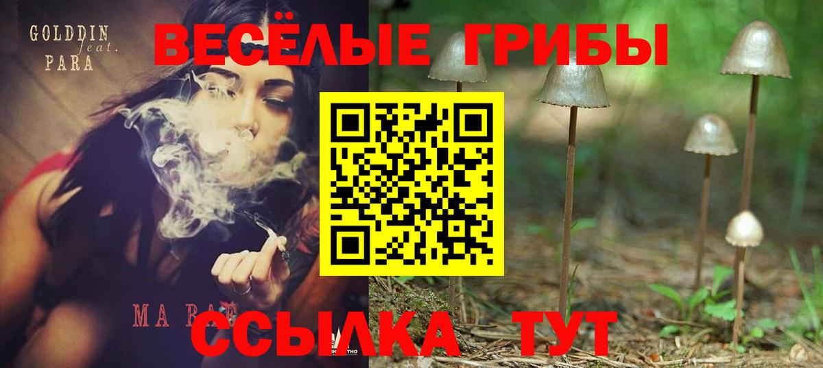 Псилоцибиновые грибы Magic Shrooms  наркошоп  Мичуринск  Вход с VPN 