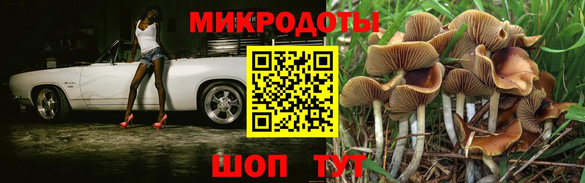 Псилоцибиновые грибы MAGIC MUSHROOMS Мичуринск